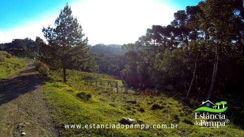 DOS EÓLICOS VIRA P FAZENDA_Moment.00_04_03_24.Quadro407_7956a09719fbc93c672db5d57e74708ab5adad7c.jpg